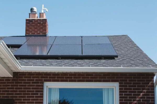 PEST CONTROL LETCHWORTH, Hertfordshire. Services: Solar Panel Bird Proofing. Safeguard Your Solar Panels with Local Pest Control Ltd's Professional Bird Proofing Services in Letchworth